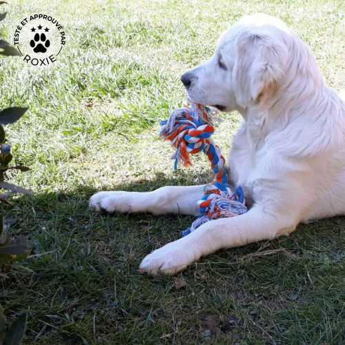 Jouet pour chien, corde en forme du2019os avec un nœud à chaque extrémité