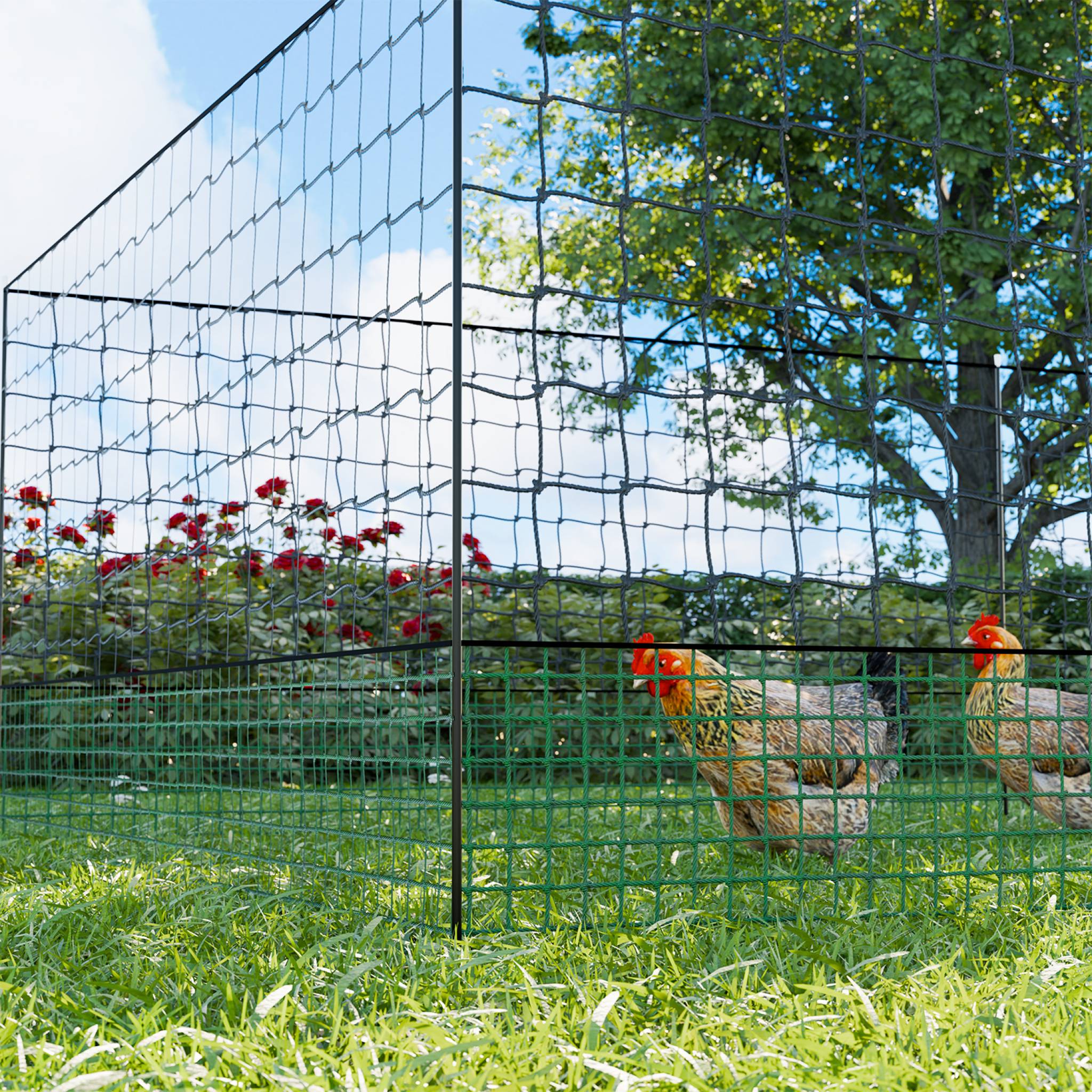 Kit Di Recinzione In Rete Modulare Per Galline-image